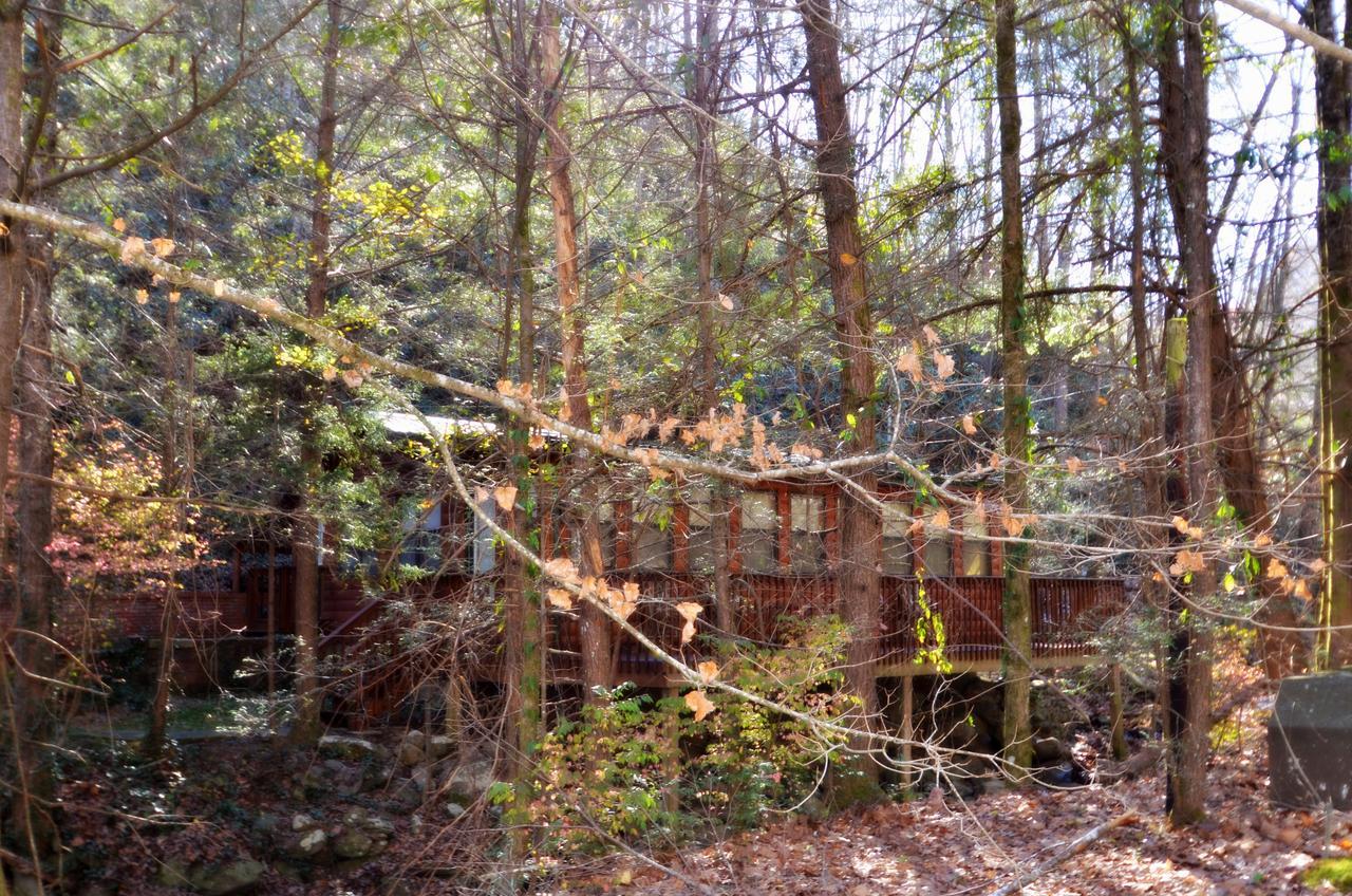 Little Creek Cabin Vila Chalet Village Exterior foto
